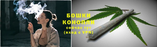 мдпв Горняк