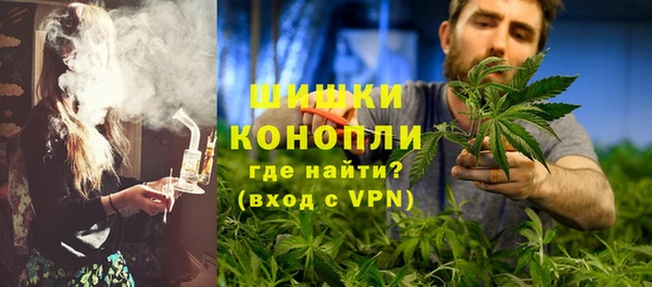 ГАЛЛЮЦИНОГЕННЫЕ ГРИБЫ Горнозаводск