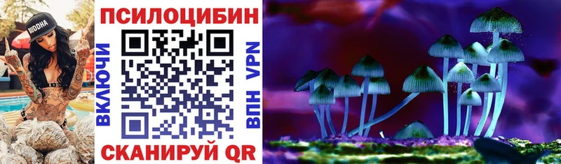 Купить закладки  Людиново  Псилоцибиновые грибы прущие грибы 